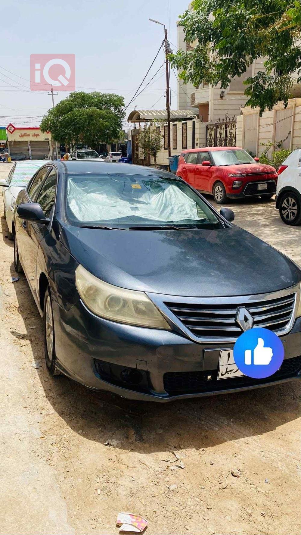 رينو سافران